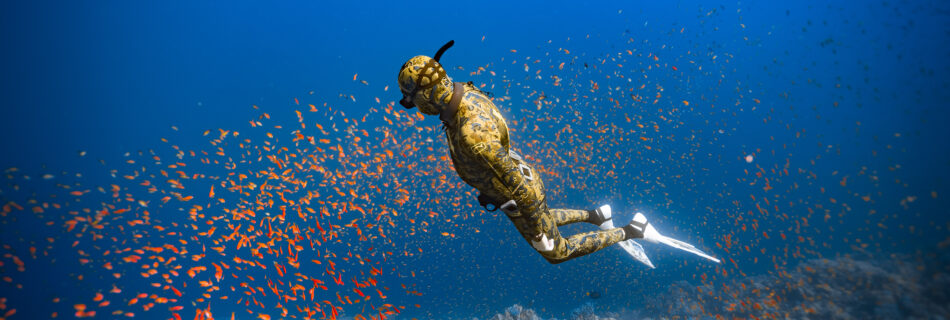 Freediving im Blue Hole Dahab – Apnoetaucher taucht zwischen Fischen im kristallklaren Wasser des Roten Meeres. Eines der besten Apnoe Reiseziele.