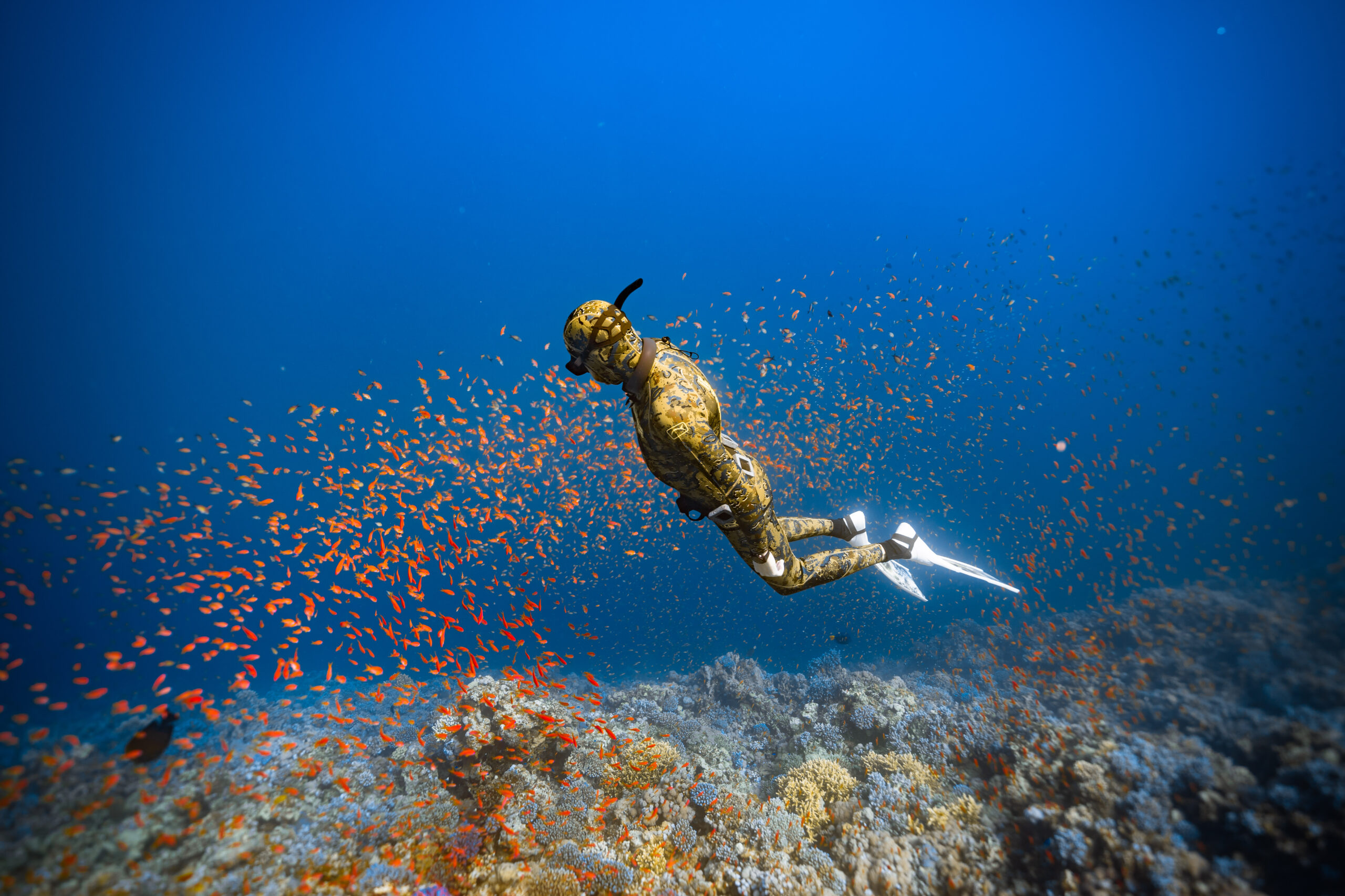 Apnoe Reiseziel Dahab: Freiheit unter Wasser am Blue Hole